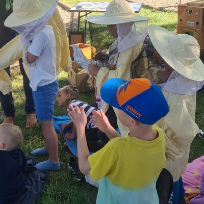 Bienenschwarm im AWO »Kinderhaus an der Ilse« - September 2023 - Imker bei der Arbeit
